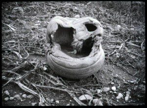 Black and white image of a pumpkin ate by someone