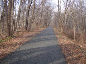 A paved path in a wooded area.