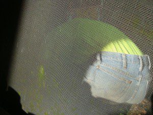A person is standing behind a screen.
