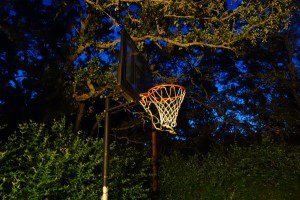 A basketball hoop at night with trees in the background.