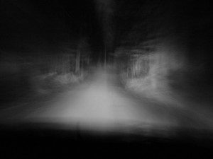 A blurry image of a road in the woods.
