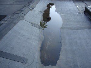 A puddle in the middle of a sidewalk.