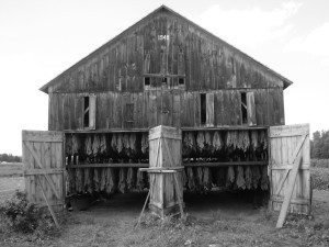 Black and white photo of an old barn.