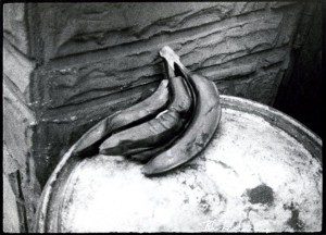 A black and white photo of two bananas.