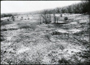 Elwell Island Dried Up