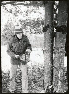 A man cutting down a tree with a chainsaw.