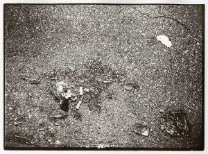 A black and white photo of a dead bird on the ground.