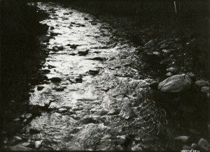 A black and white photo of a stream in the woods.