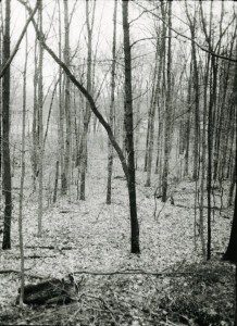 A black and white photo of a wooded area.